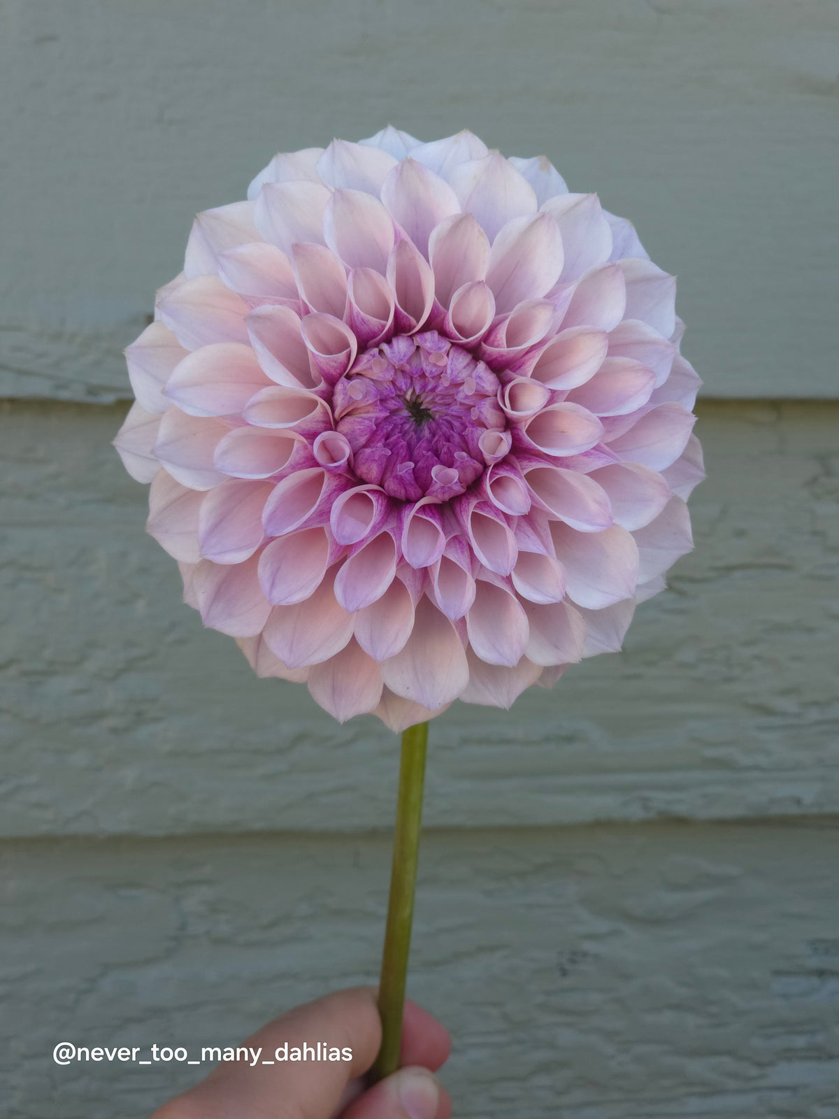 Jeff Bloom