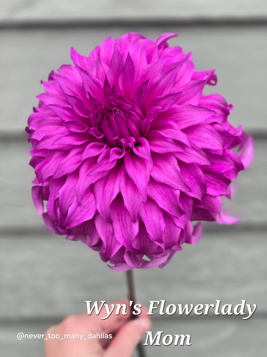 Wyn's Flowerlady Mom *Limit 1*