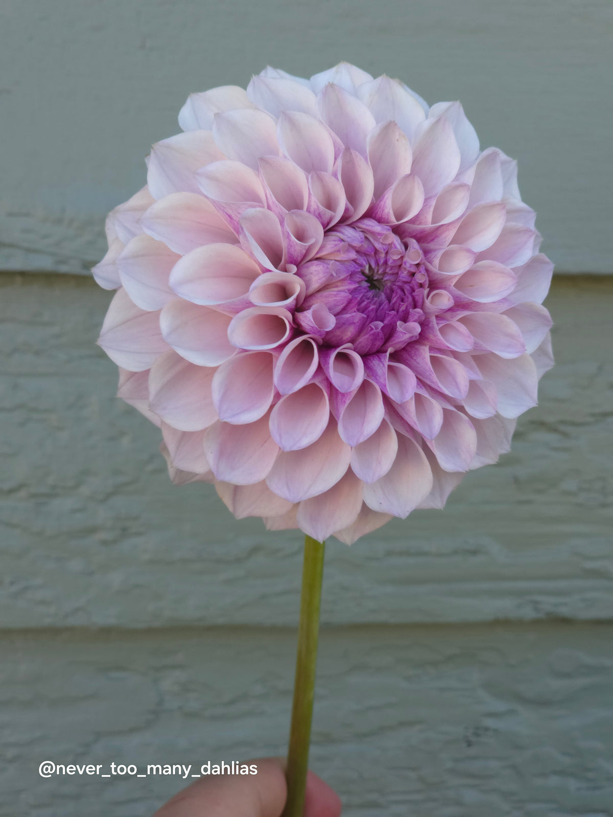 Jeff Bloom