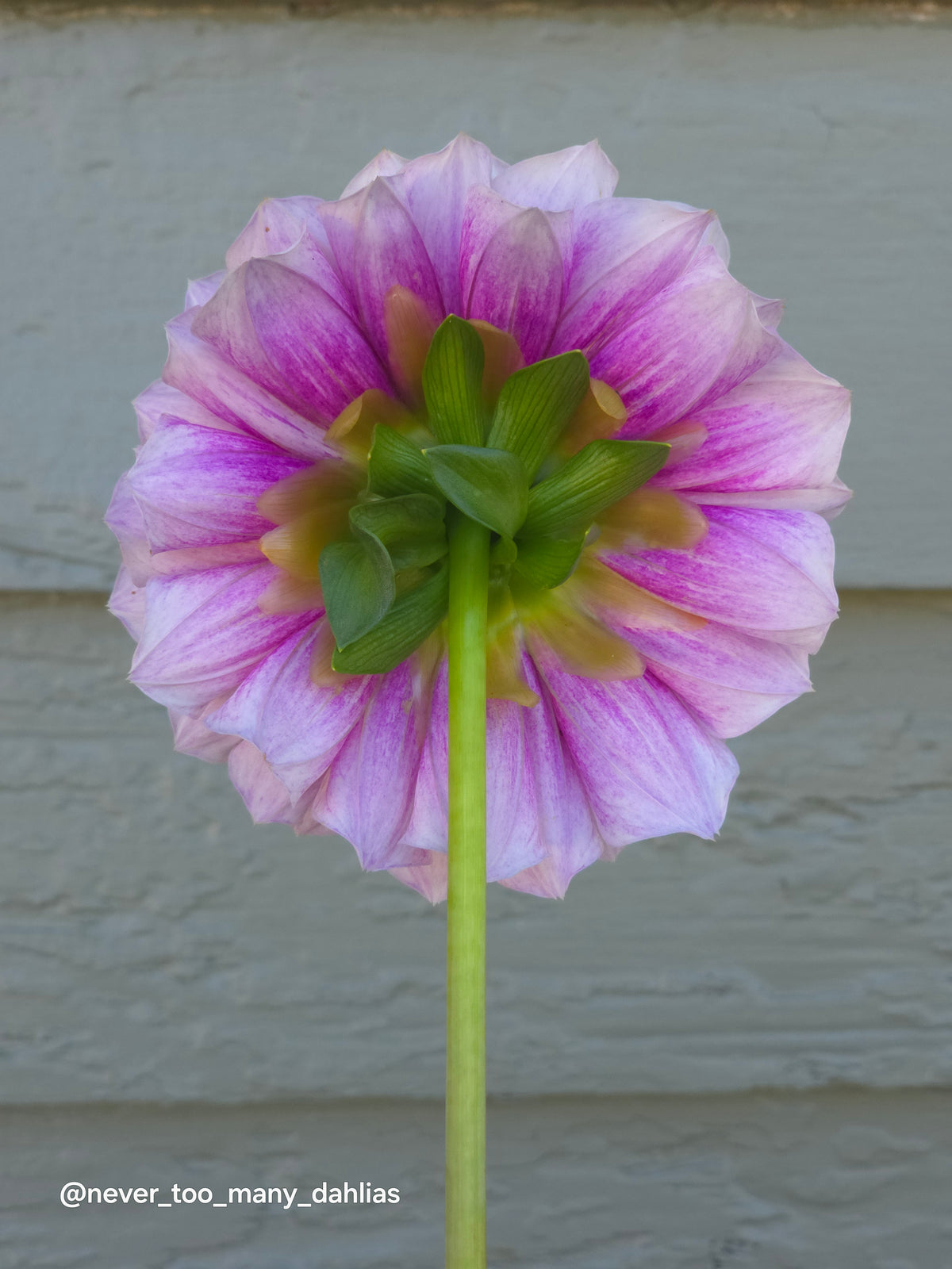Jeff Bloom